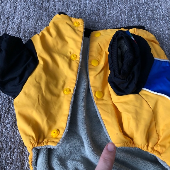 Puppy Camel racing outfit